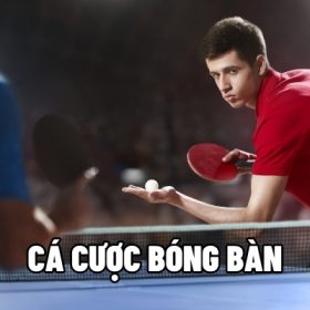 Cá cược bóng bàn
